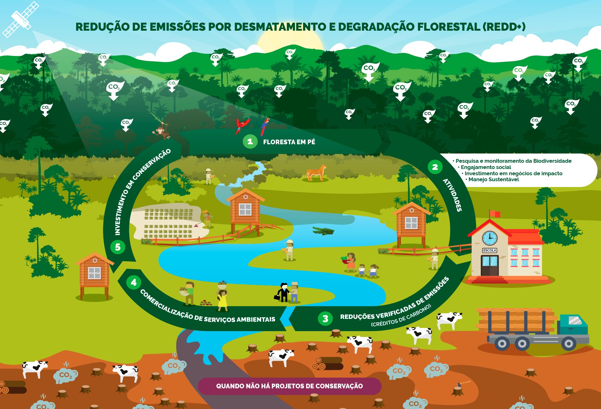 O que é REDD+, Neutralização com foco no combate ao desmatamento