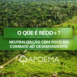 O que é REDD+ Neutralização com foco no combate ao desmatamento