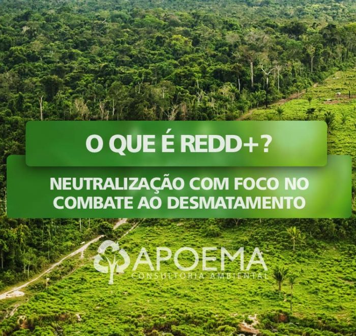 O que é REDD+ Neutralização com foco no combate ao desmatamento