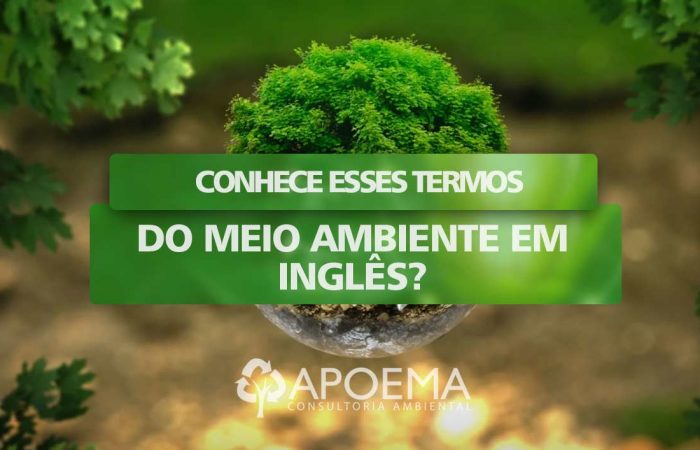 Por isso existem tantos termos do meio ambiente em inglês que são usados mesmo pelos falantes da língua portuguesa.