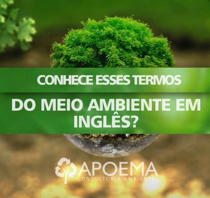 Por isso existem tantos termos do meio ambiente em inglês que são usados mesmo pelos falantes da língua portuguesa.