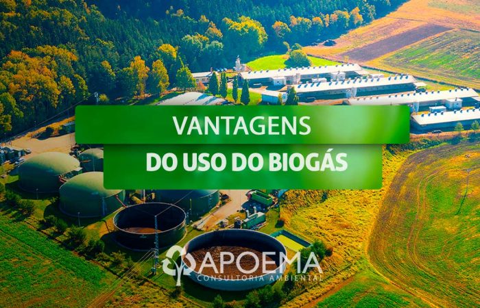 O que é o biogás?