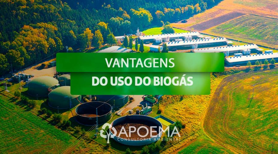 O que é o biogás?