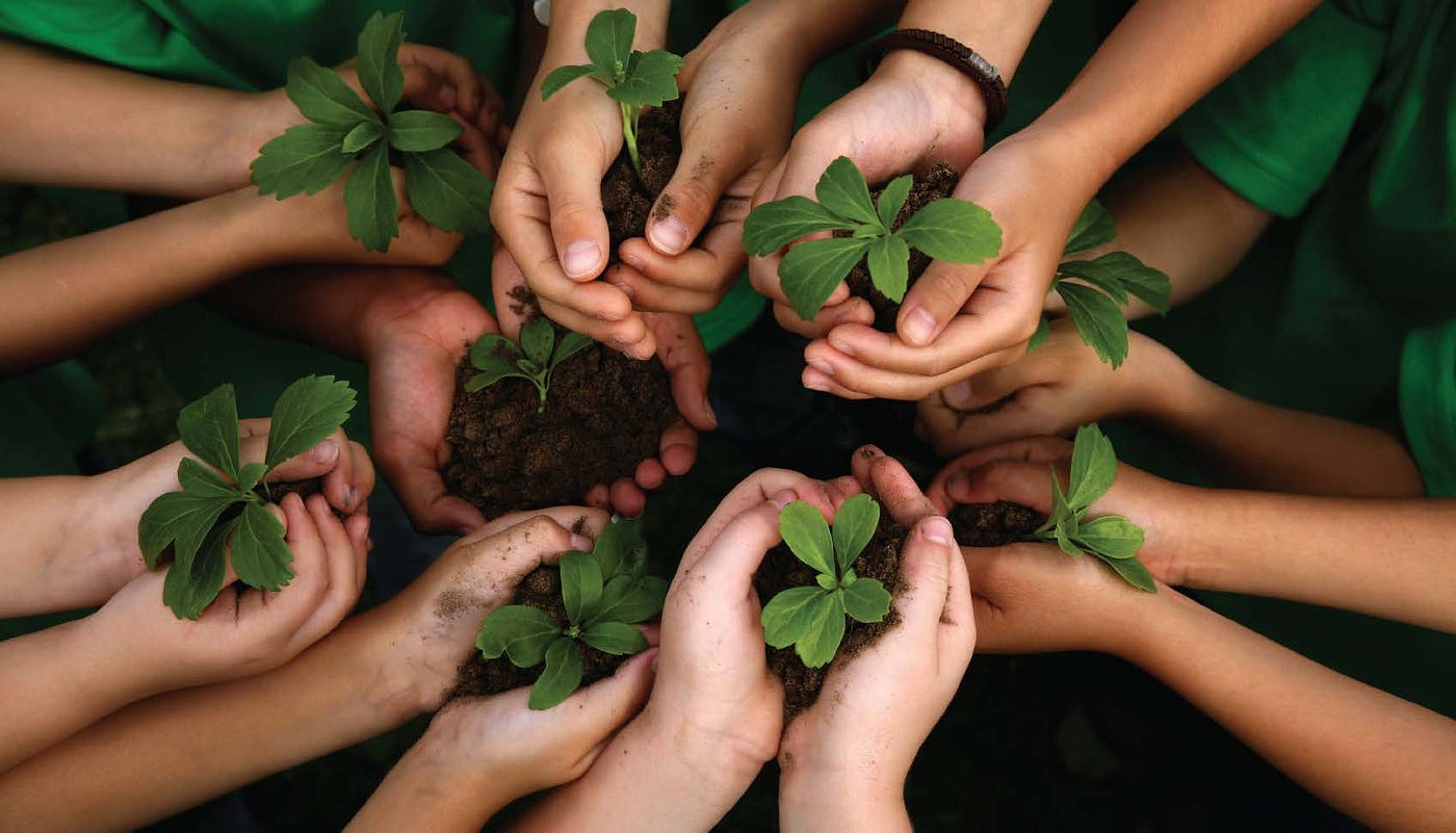 O que é Licenciamento Ambiental?